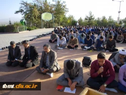 غبار روبی و زیارت عاشورا در مزار شهدا 2