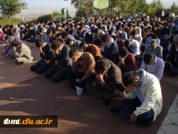 غبار روبی و زیارت عاشورا در مزار شهدا 4