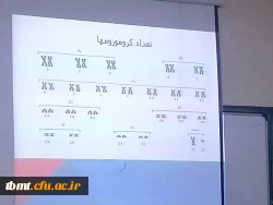 کارگاه ازدواج3