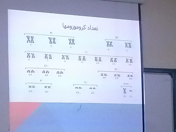 کارگاه ازدواج3