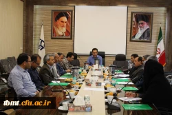 کارشناسان مالی