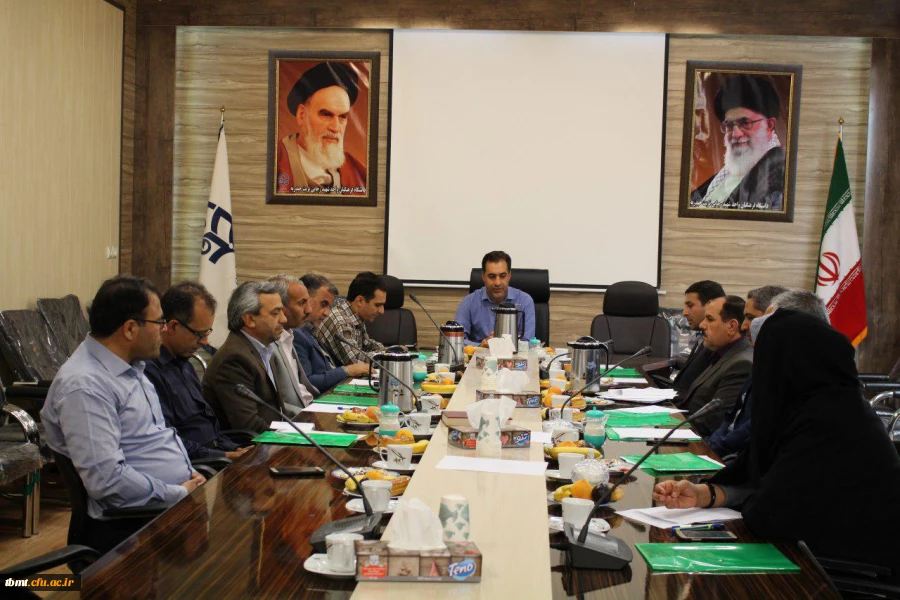 کارشناسان مالی