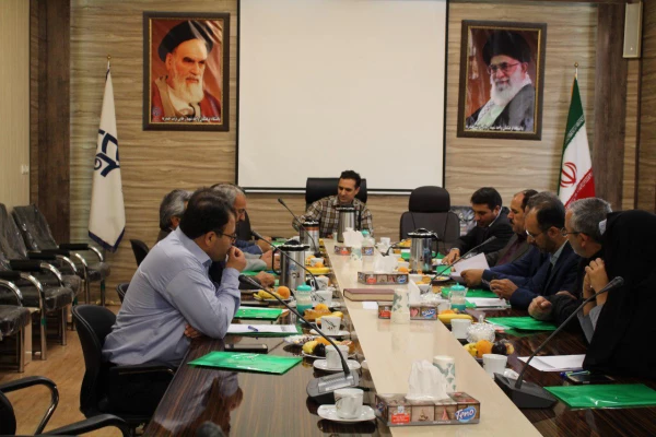 کارشناسان مالی