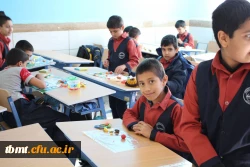 مدارس وابسته