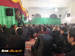 مزاربی بی حسنیه