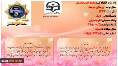 شهید محمد امین محمدی