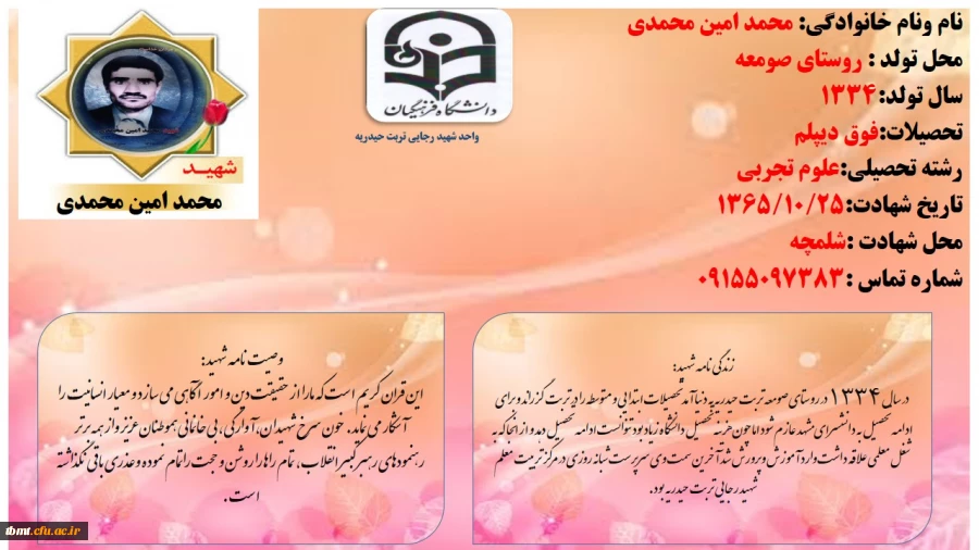 شهید محمد امین محمدی