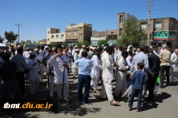 کاروان پیاده