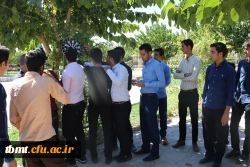 اردوی توجیهی