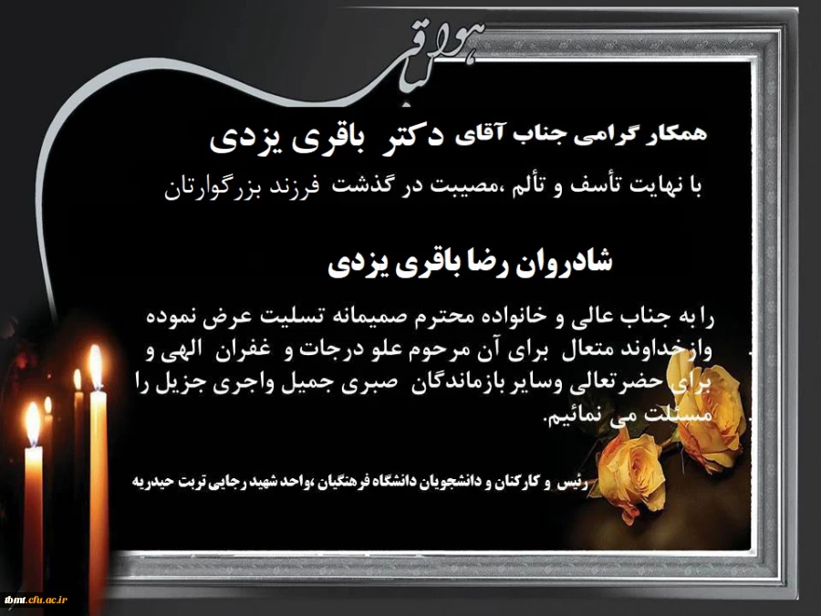 ابراز همدردی 2