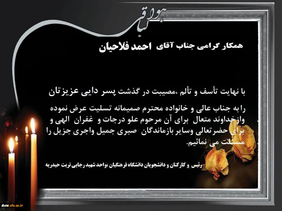 ابراز همدردی 2